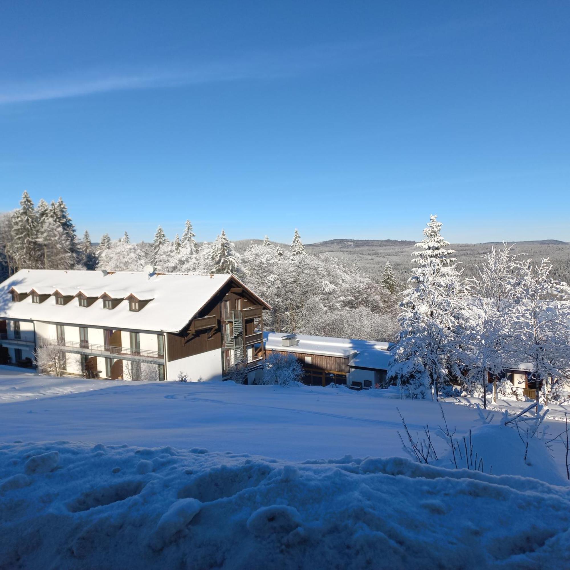 Apartements 270-275 Mitterdorf Mitterfirmiansreut Kültér fotó